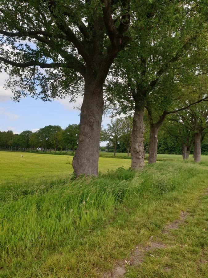 B&B Het Gelders Buitenleven Overasselt 外观 照片