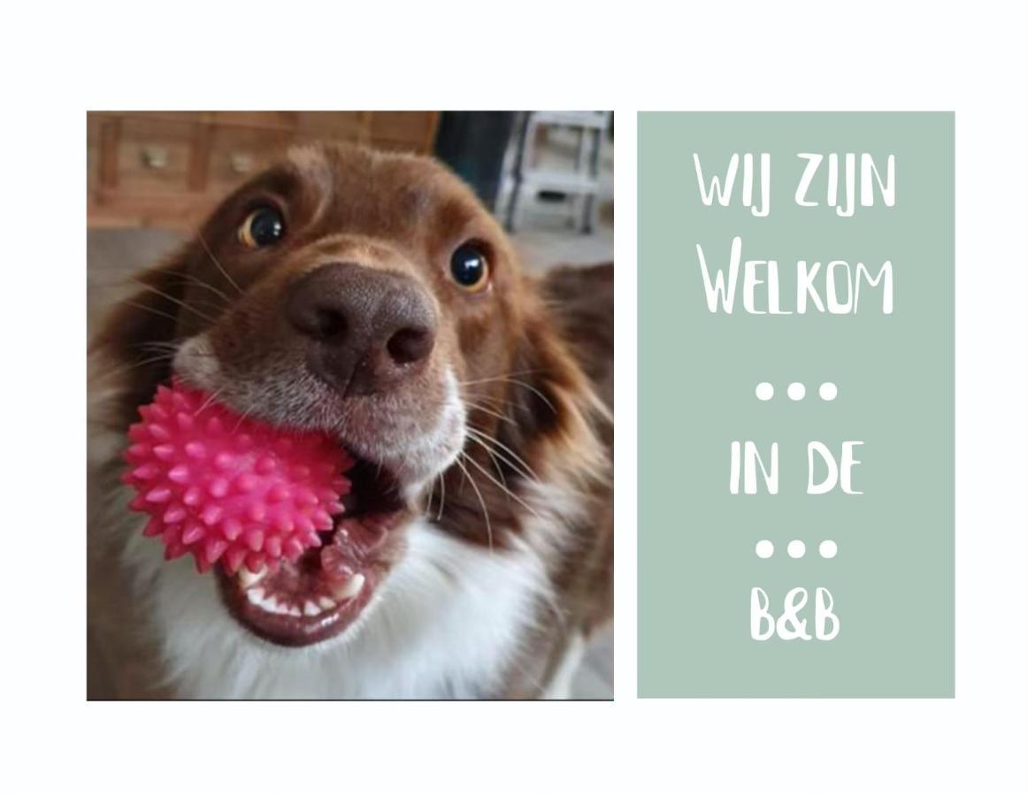 B&B Het Gelders Buitenleven Overasselt 外观 照片