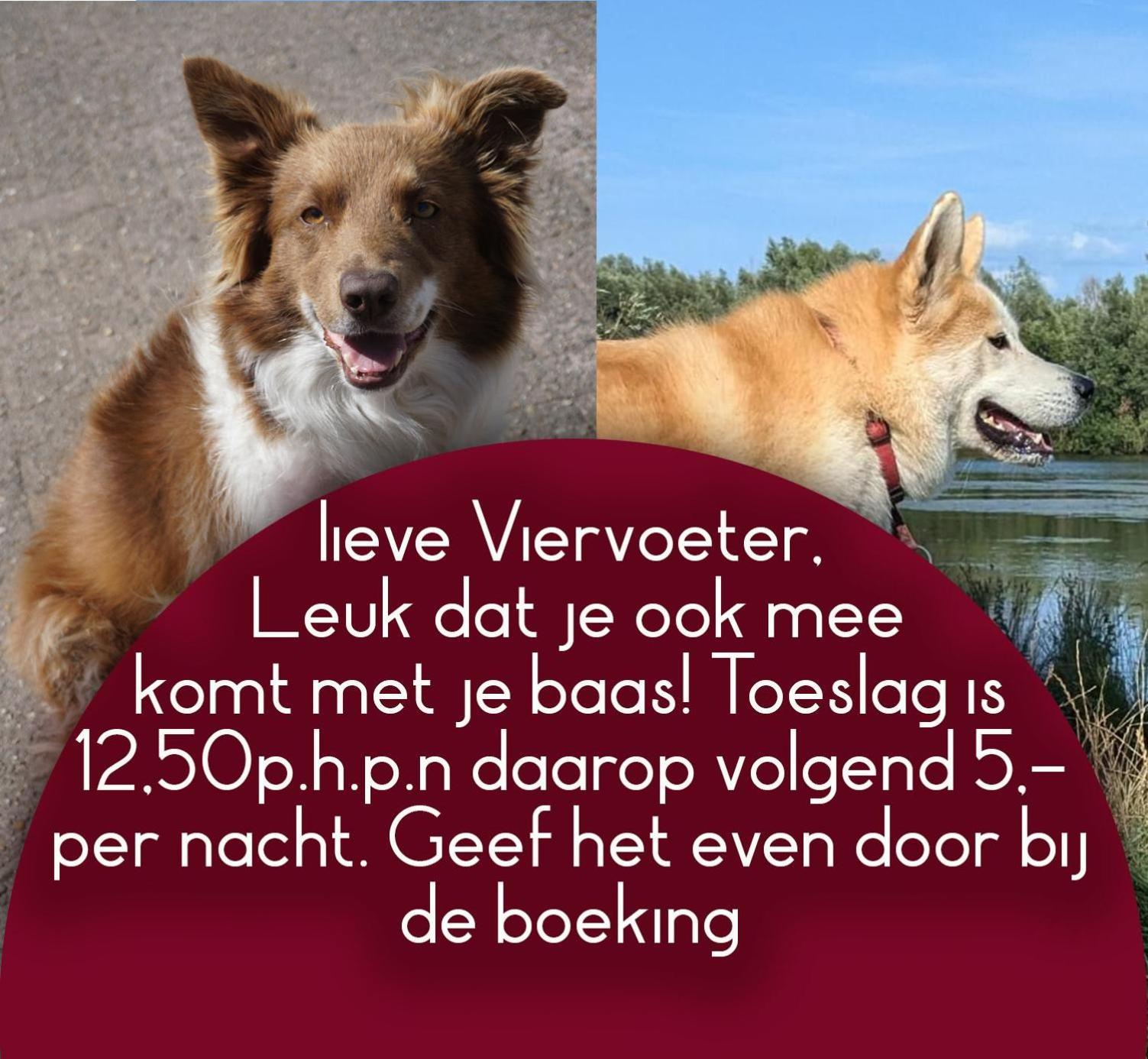 B&B Het Gelders Buitenleven Overasselt 外观 照片